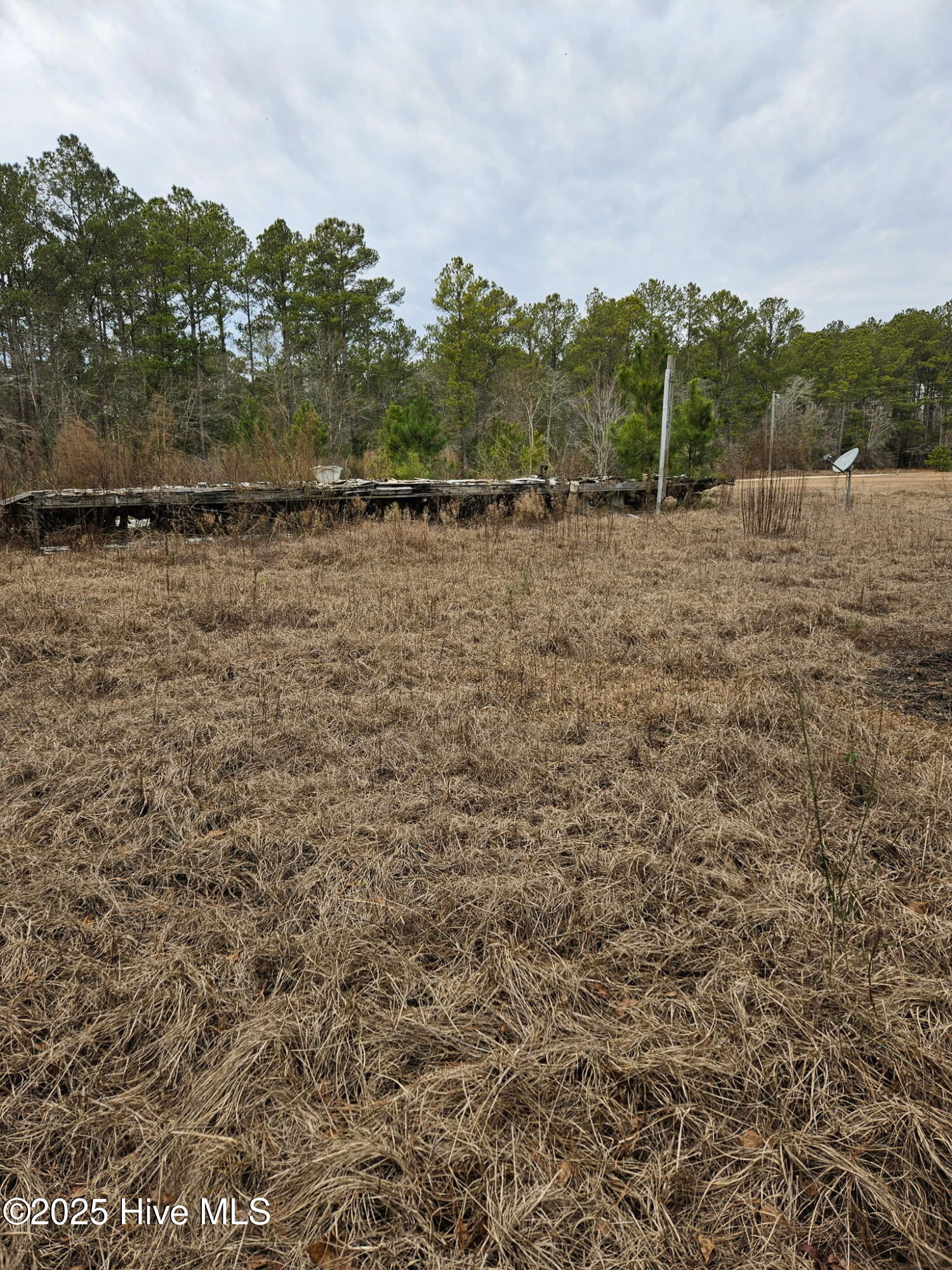 247 Old Ramsey Road Burgaw, NC 28425 - Photo 4 of 9 EEE9331B-AD7F-4CEB-A133-3FF1E7374B7C