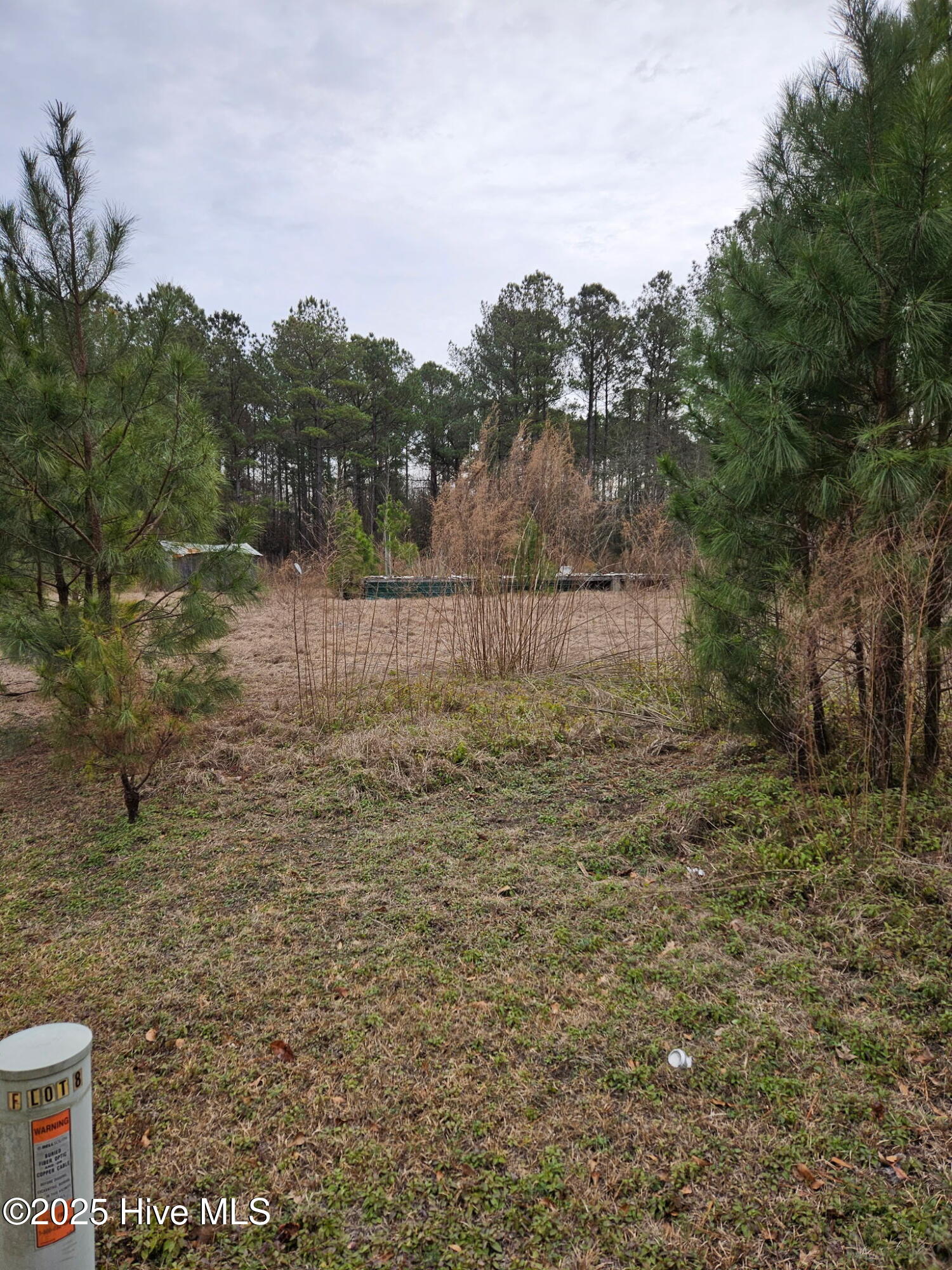 247 Old Ramsey Road Burgaw, NC 28425 - Photo 6 of 9 72D234BE-E4D0-43D5-83C7-6F02D2C7DF01