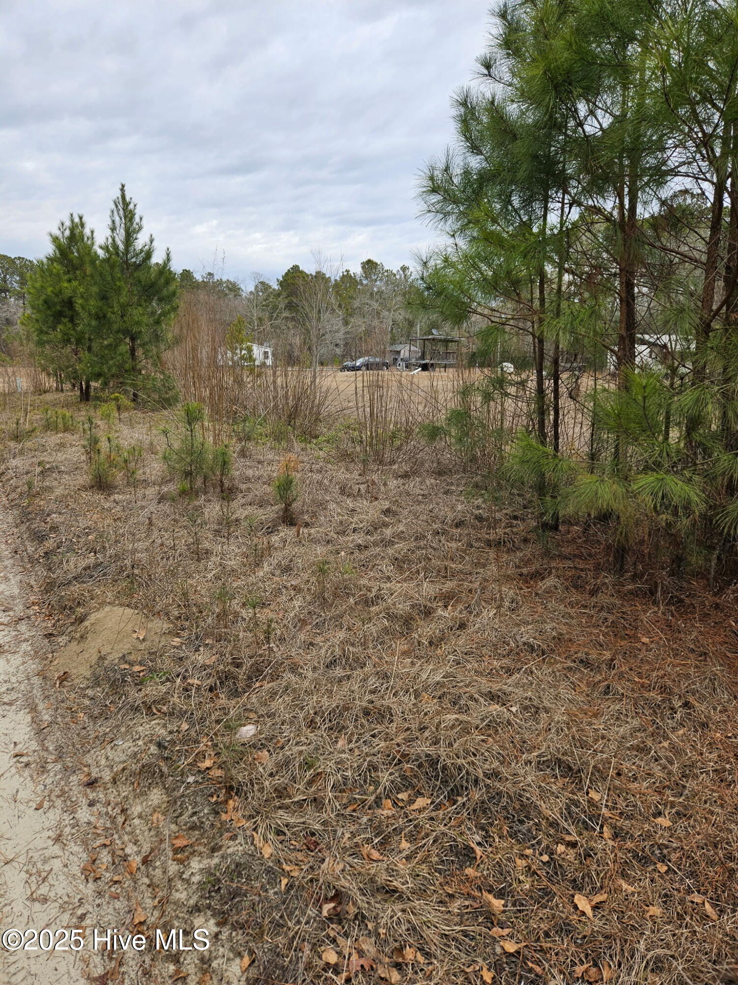 247 Old Ramsey Road Burgaw, NC 28425 - Photo 7 of 9 980C6206-4B2A-44ED-BC77-8A5A05C5992C