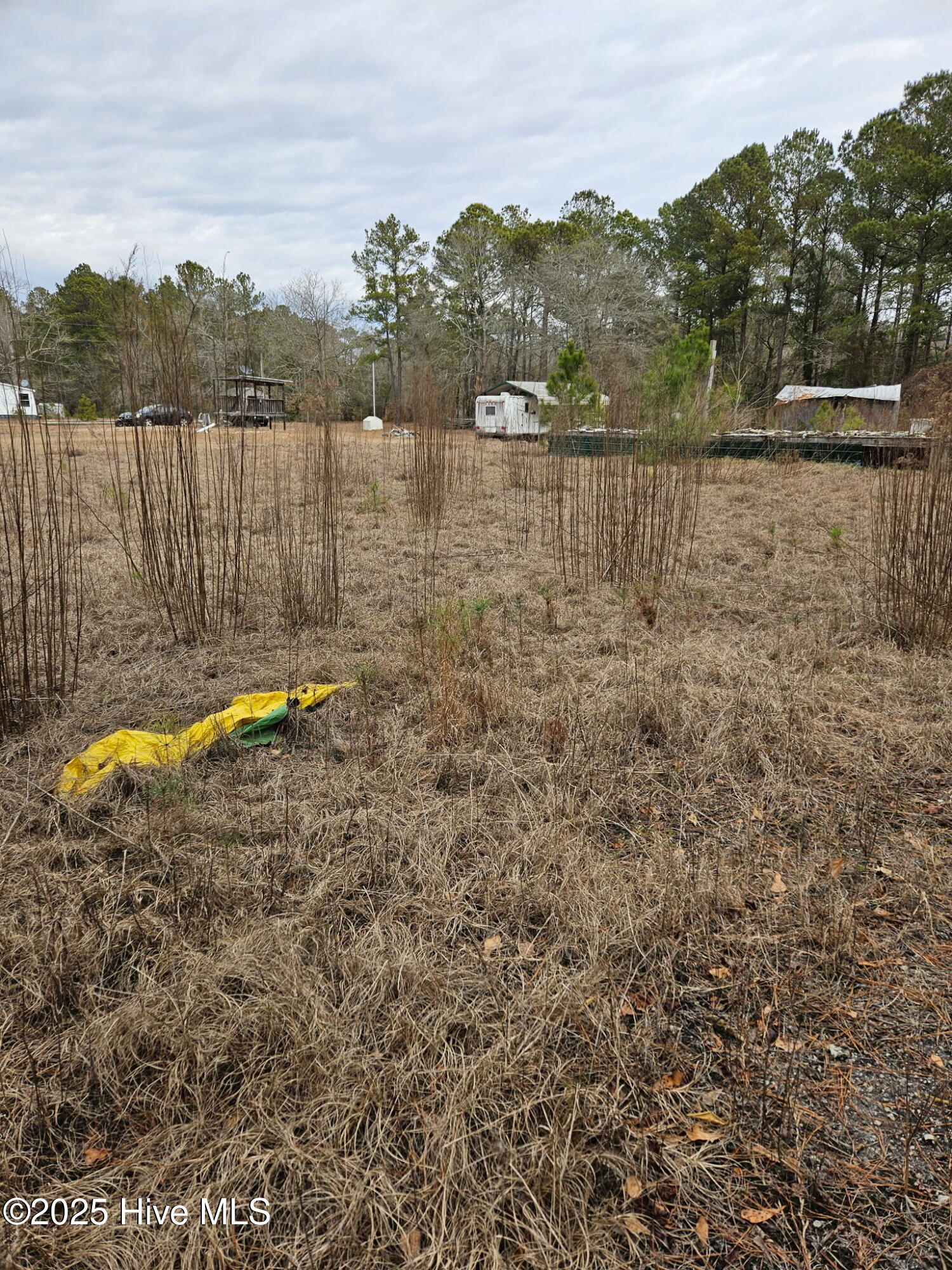 247 Old Ramsey Road Burgaw, NC 28425 - Photo 8 of 9 E7F49F9C-9B89-4D11-A77A-1AE79DF1CC09