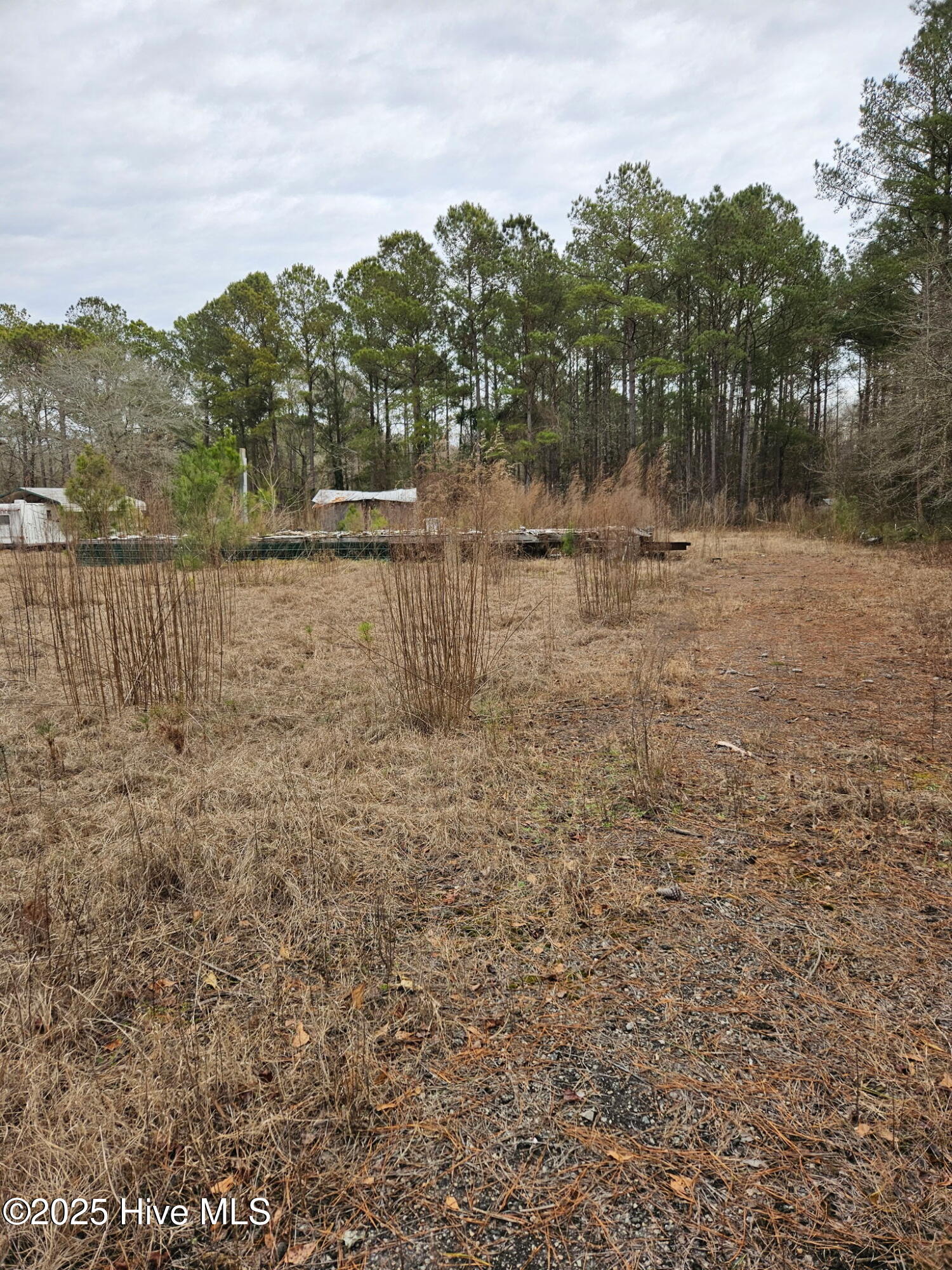 247 Old Ramsey Road Burgaw, NC 28425 - Photo 9 of 9 0E049BDF-A3BC-42E2-A013-50FD27F62D3F