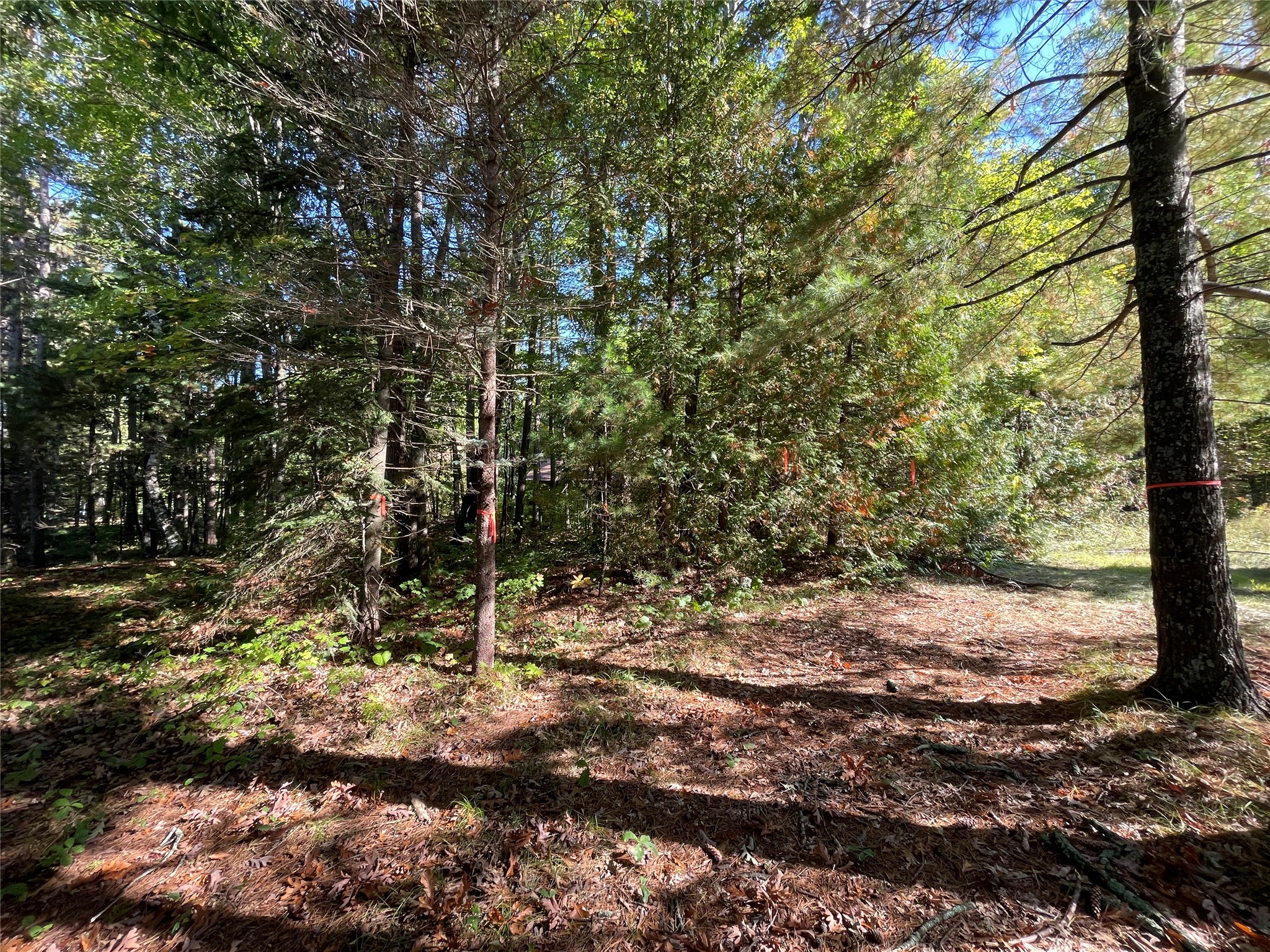 6073 North Elsie Road Stone Lake, WI 54876 - Photo 16 of 42