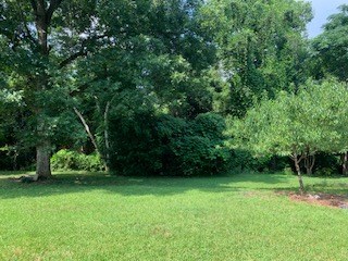 5615 Spring Street Warm Springs, GA 31830 - Photo 27 of 30 Gallery Image 27