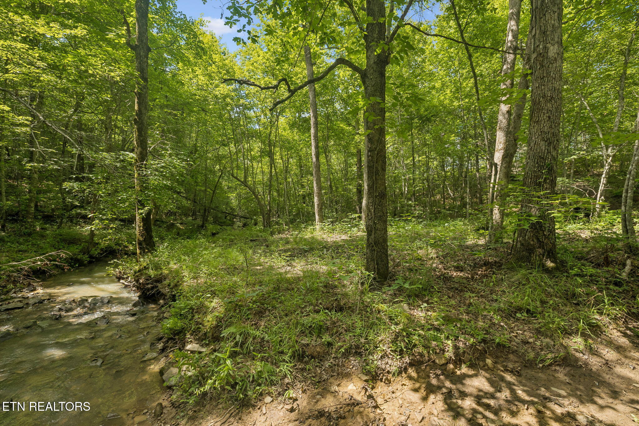 Sheep Ranch Road, Unit 24 Robbins, TN 37852 - Photo 17 of 33 6-Sheep Ranch Rd-006
