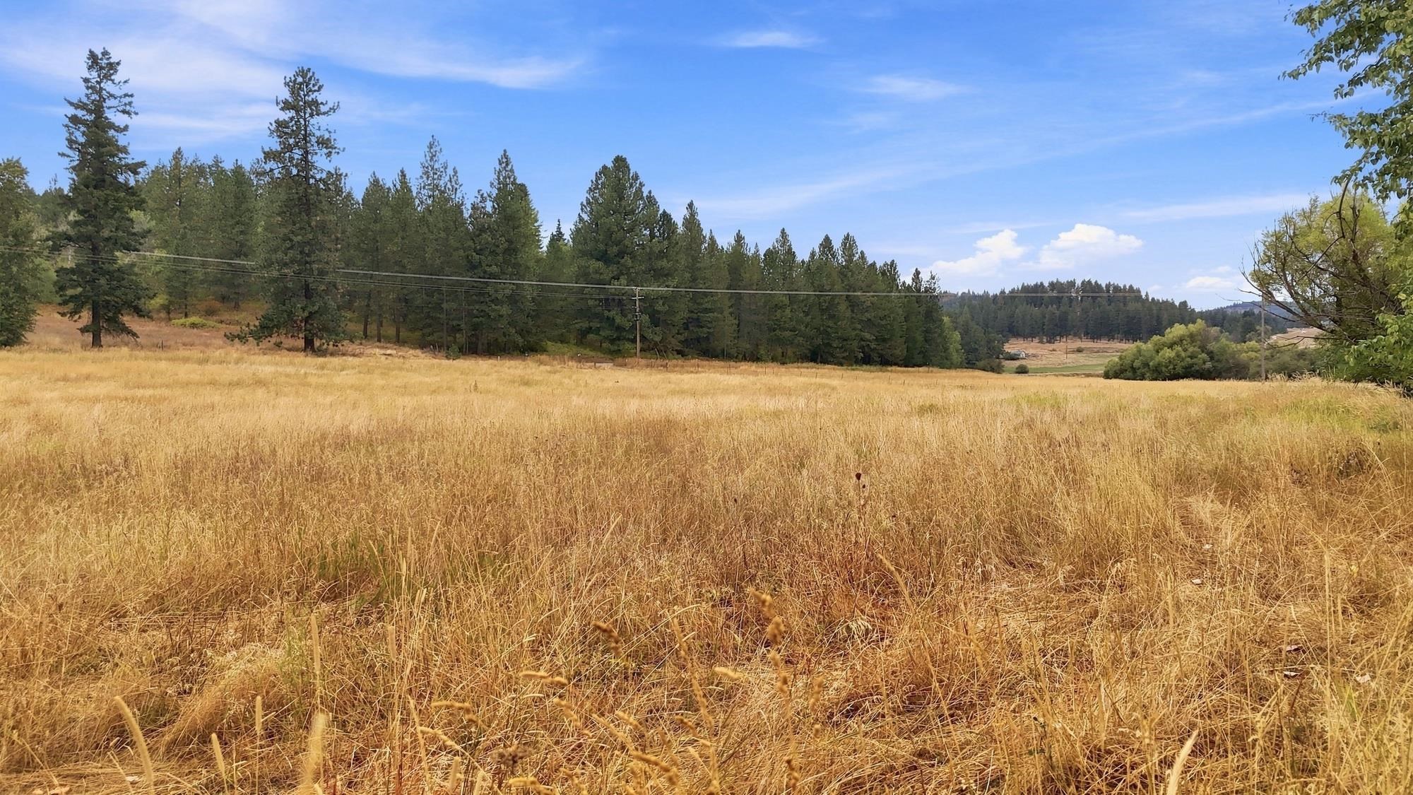 2702 Allen Road Elk, WA 99009 - Photo 8 of 23 Gallery Image 8