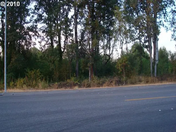 a view of a yard