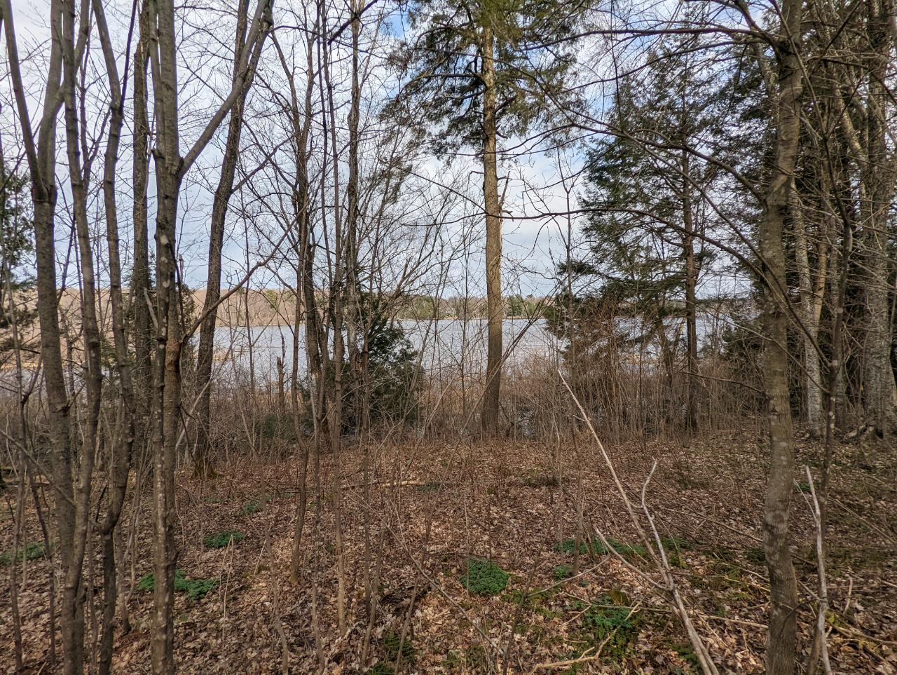 Lot 7 Spiritview Lane Rib Lake, WI 54470 - Photo 6 of 14 Gallery Image 6