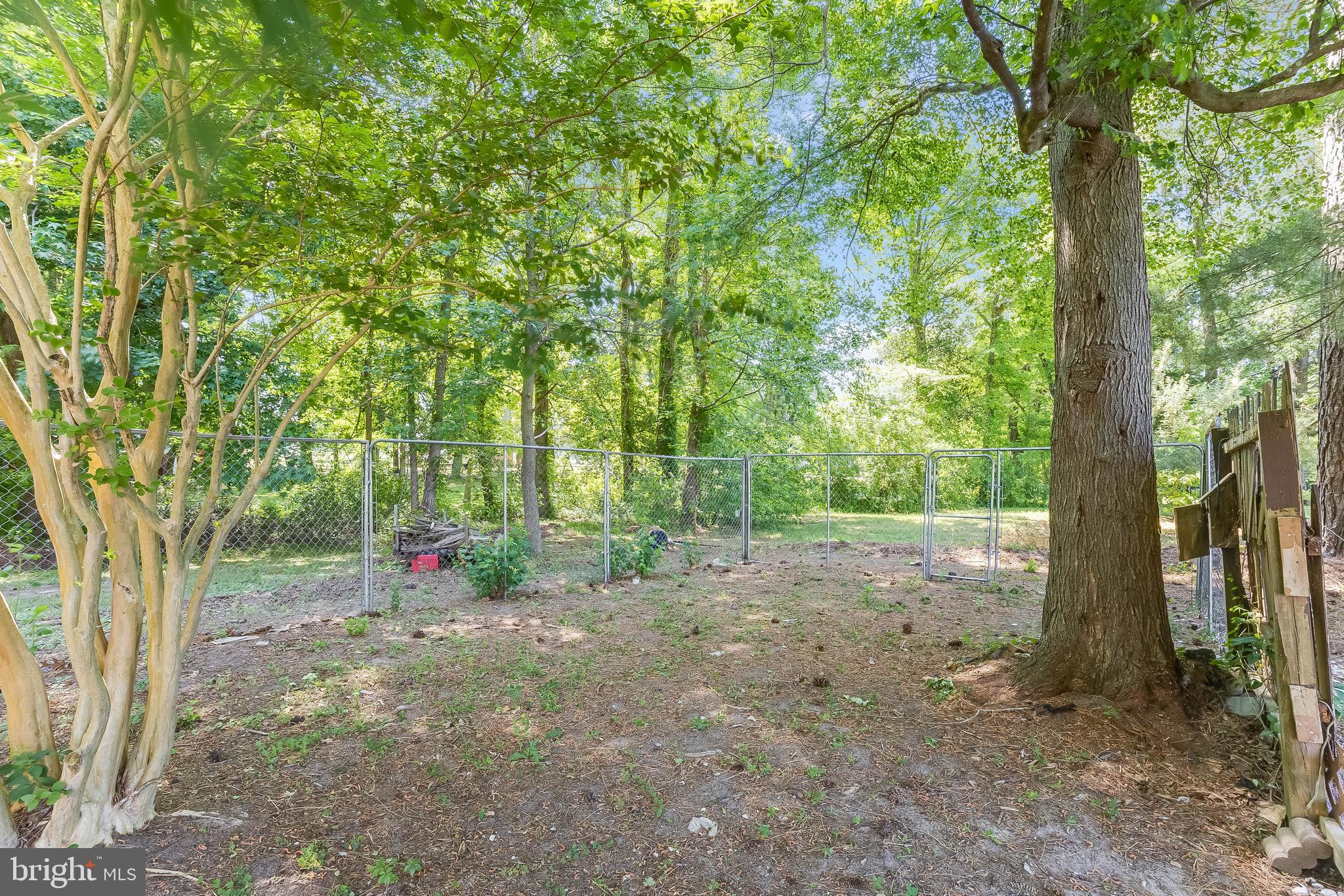 28011 Line Road Seaford, DE 19973 - Photo 40 of 49