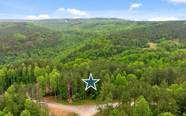 a view of a city with lush green forest