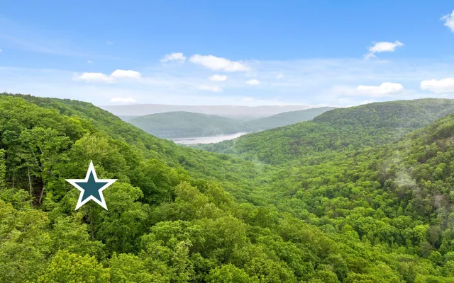 a view of a lake in middle of green field