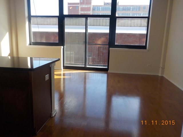 2323 West Pershing Road, Unit 208 Chicago, IL 60609 - Photo 3 of 11