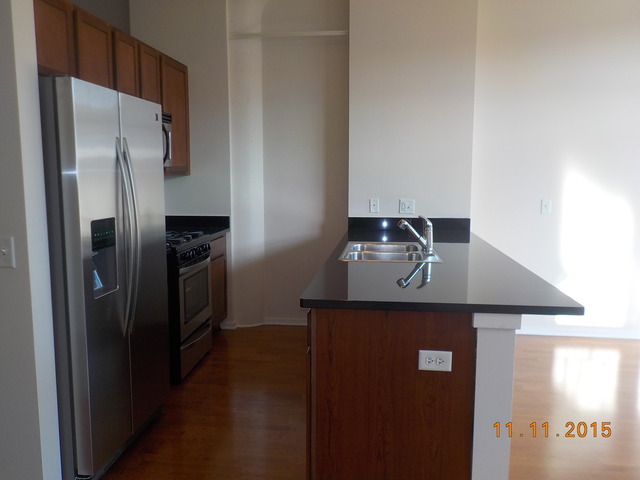 2323 West Pershing Road, Unit 208 Chicago, IL 60609 - Photo 4 of 11