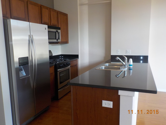 2323 West Pershing Road, Unit 208 Chicago, IL 60609 - Photo 5 of 11