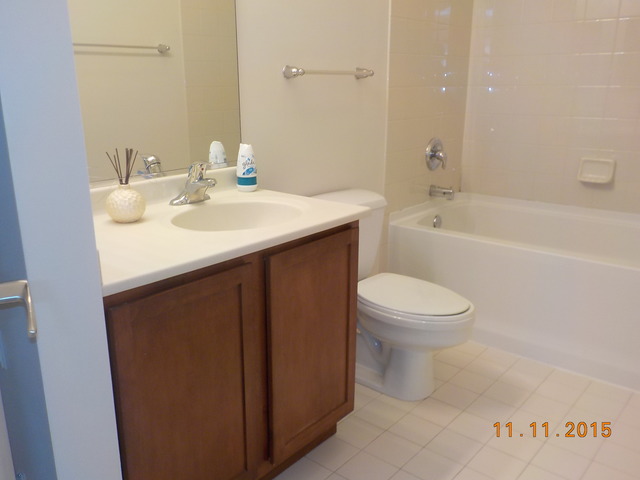 2323 West Pershing Road, Unit 208 Chicago, IL 60609 - Photo 6 of 11
