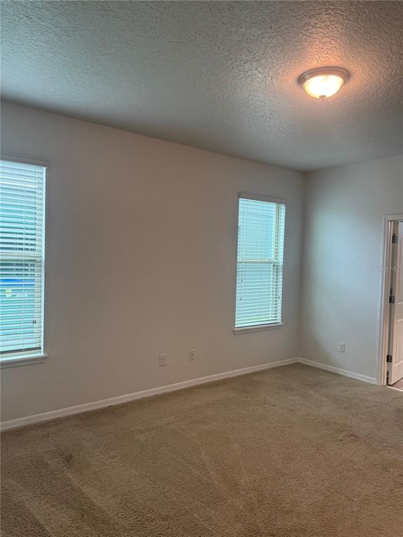 16067 Pebble Bluff Loop Winter Garden, FL 34787 - Photo 19 of 44