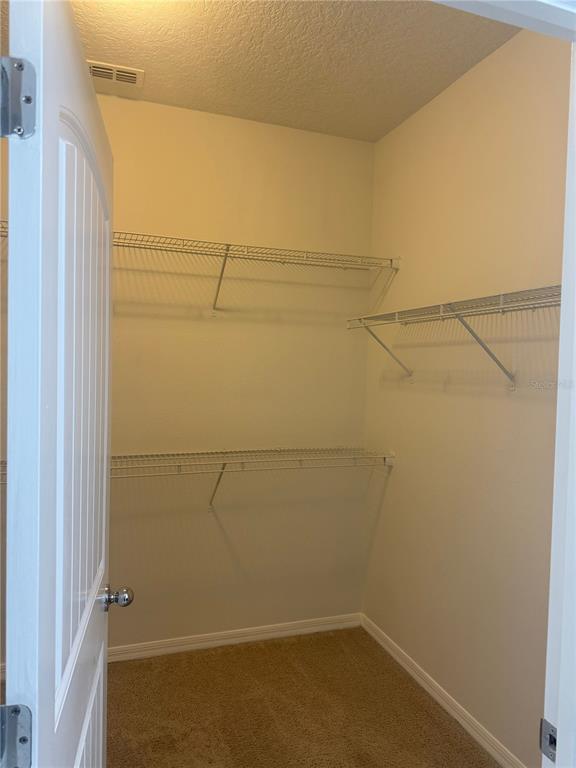 16067 Pebble Bluff Loop Winter Garden, FL 34787 - Photo 23 of 44