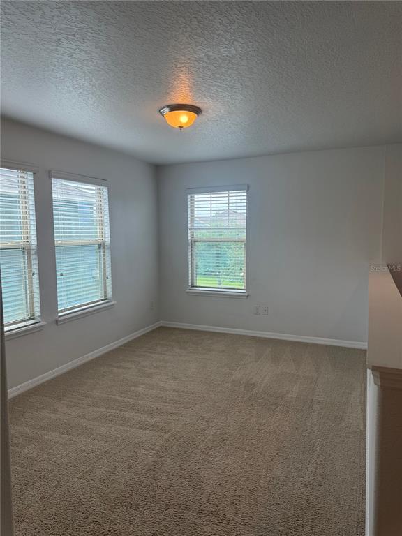16067 Pebble Bluff Loop Winter Garden, FL 34787 - Photo 25 of 44
