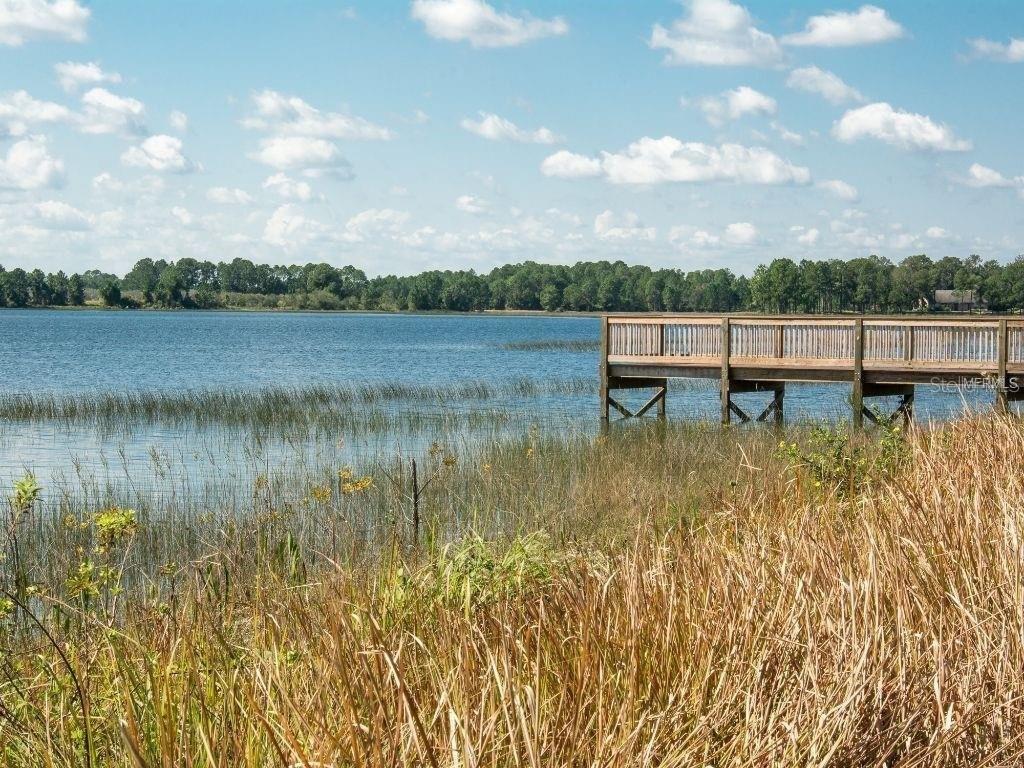 16067 Pebble Bluff Loop Winter Garden, FL 34787 - Photo 40 of 44