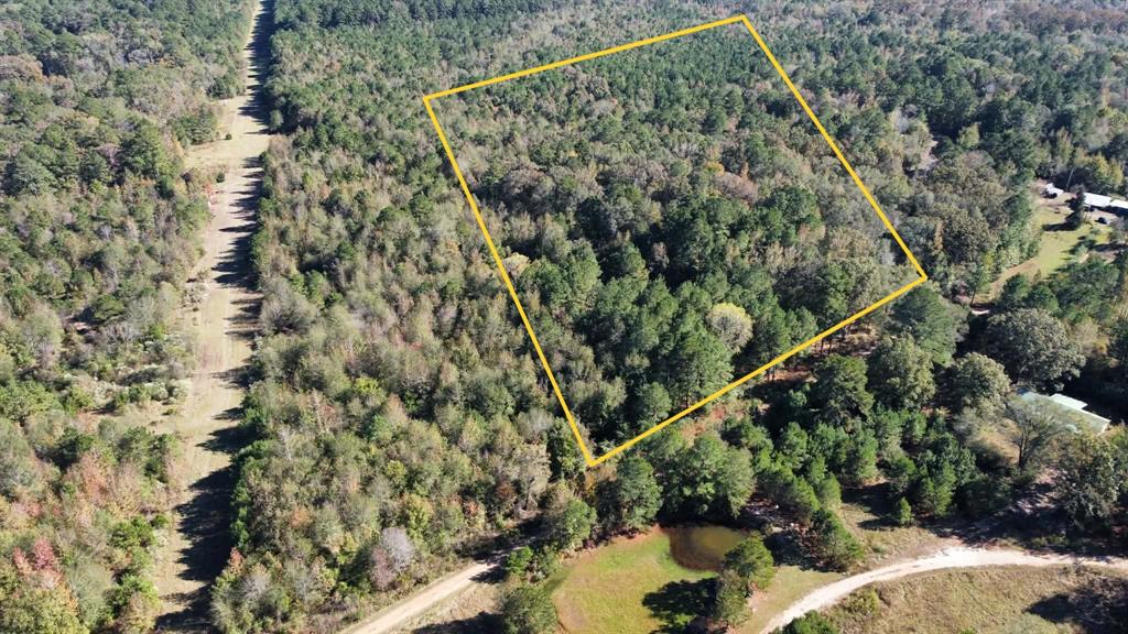 0 Eason Rodessa, LA 71069 - Photo 3 of 5 Aerial view of a forest