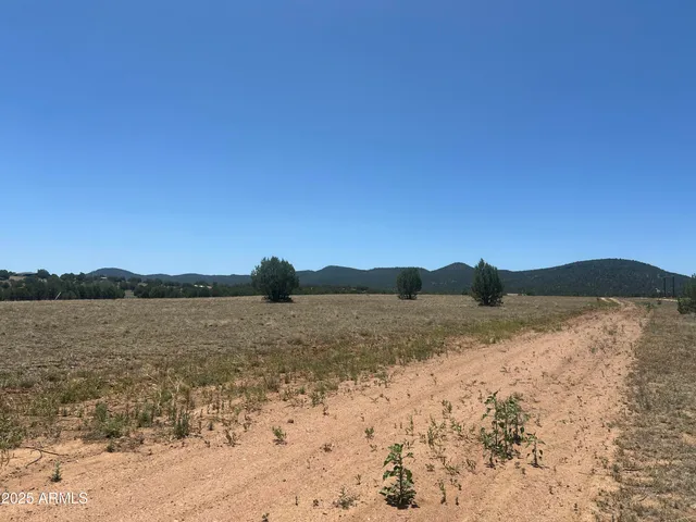 a view of lake and mountain