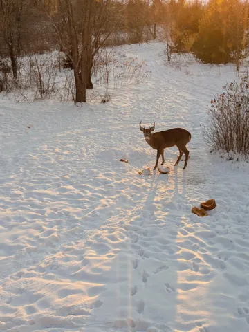 $750,000 | W11213 840th Avenue, River Falls, WI 54022