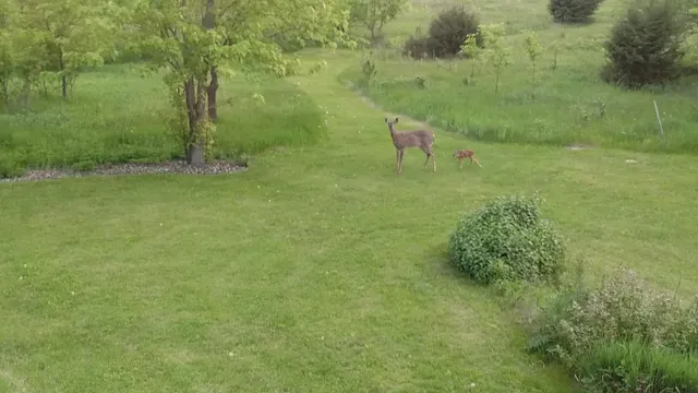 $750,000 | W11213 840th Avenue, River Falls, WI 54022