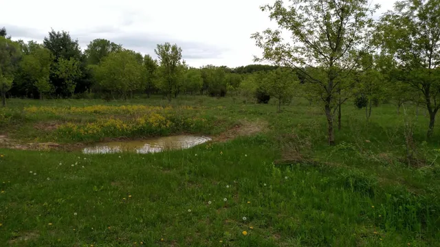 $750,000 | W11213 840th Avenue, River Falls, WI 54022