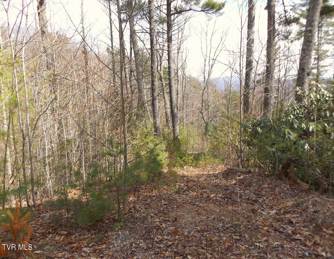 401 Chestnut Circle Butler, TN 37640 - Photo 3 of 14 Lot54a