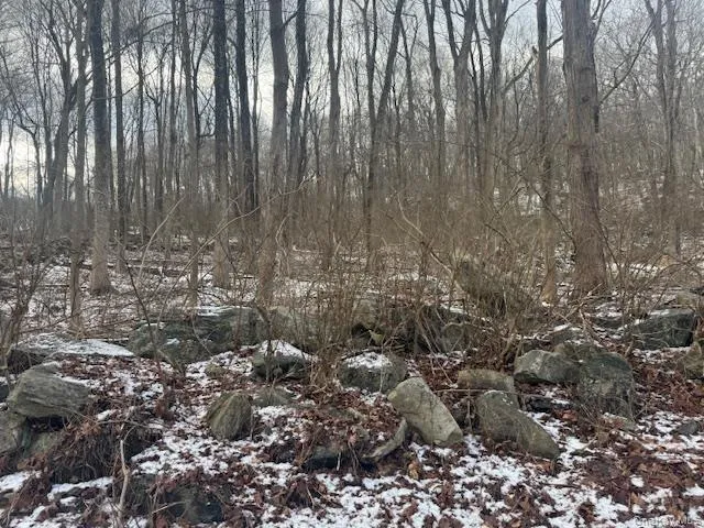 a view of a forest with trees in the background