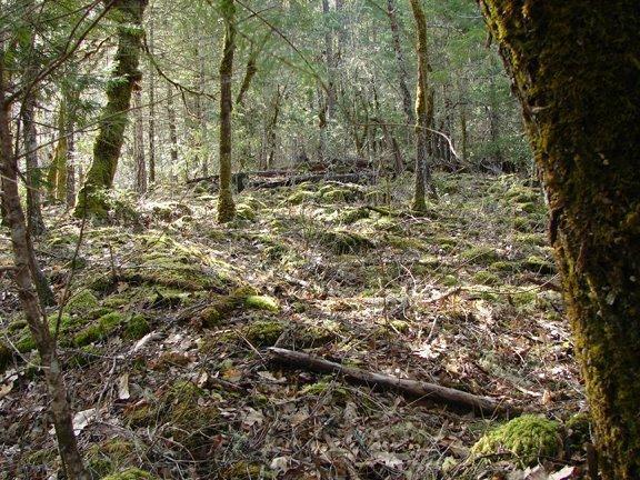 479 Felkner Road Grants Pass, OR 97527 - Photo 9 of 24 Additional Photo