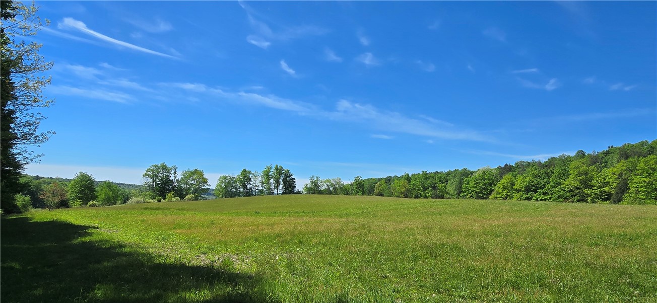 324 Murphy Hill Road Catlin, NY 14845 - Photo 40 of 47