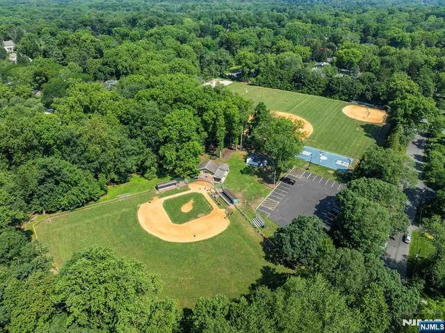 a view of a garden with plants and large trees