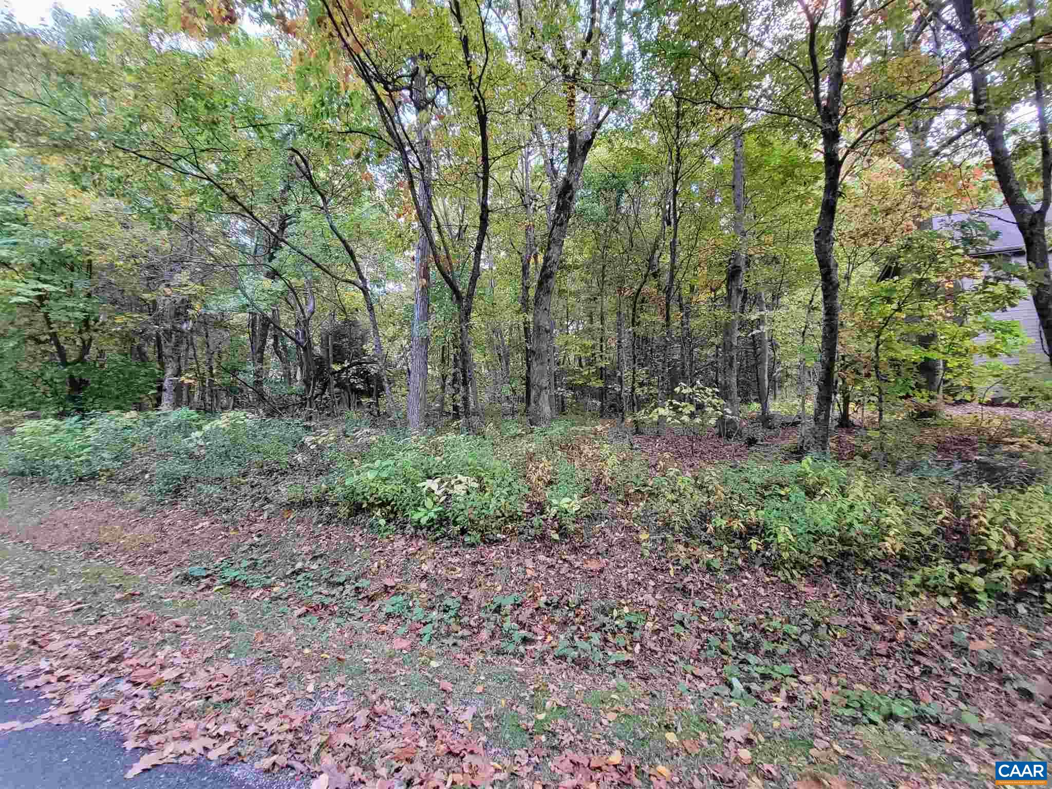 41 Hickory Spring Road Roseland, VA 22967 - Photo 2 of 7