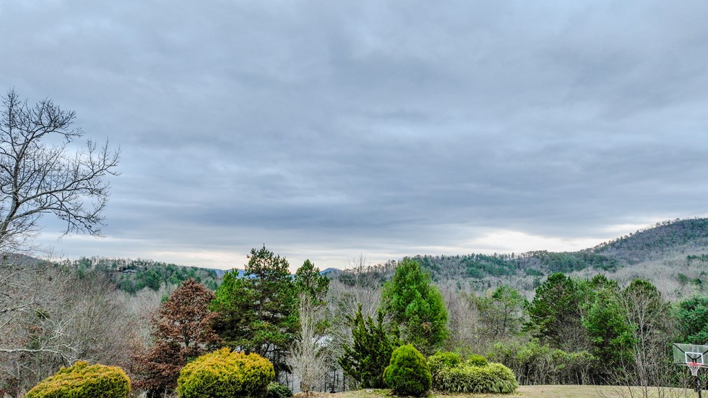 39 Red Bud Lane Murphy, NC 28906 - Photo 14 of 46