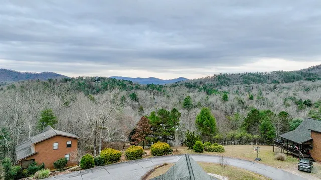 an aerial view of a house with a garden