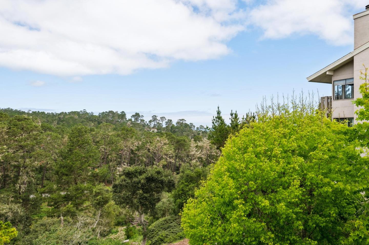 8 Shepherds Knoll Pebble Beach, CA 93953 - Photo 8 of 47 a view of a bunch of trees