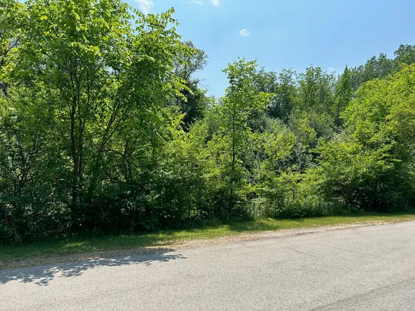 $450,000 | Lot Foster Foster Avenue, Bloomingdale, IL 60108