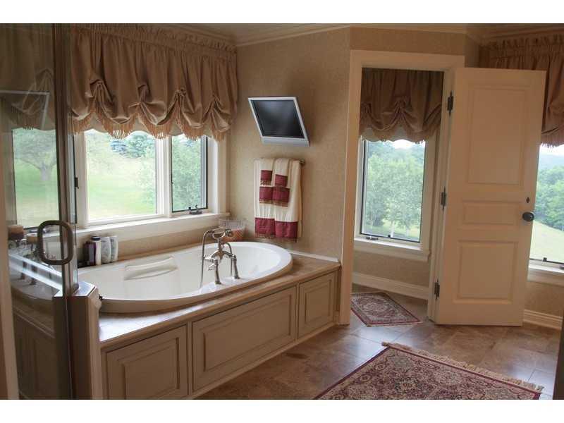 867 Persimmon Road Sewickley Heights, PA 15143 - Photo 13 of 24 Master Bath/Spa.