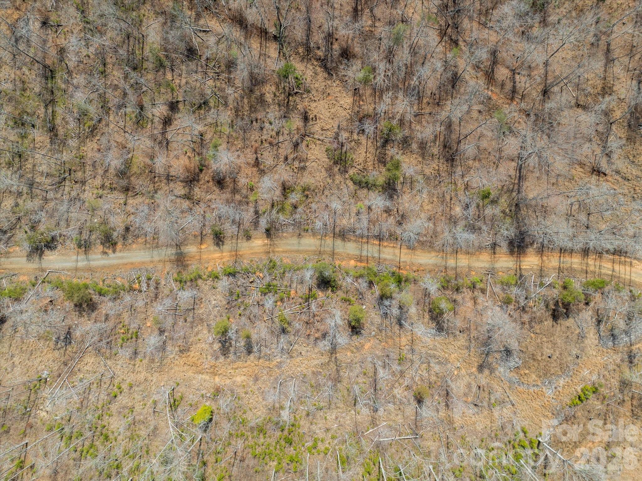 99999 Abrams Moore Road Mill Spring, NC 28756 - Photo 16 of 21