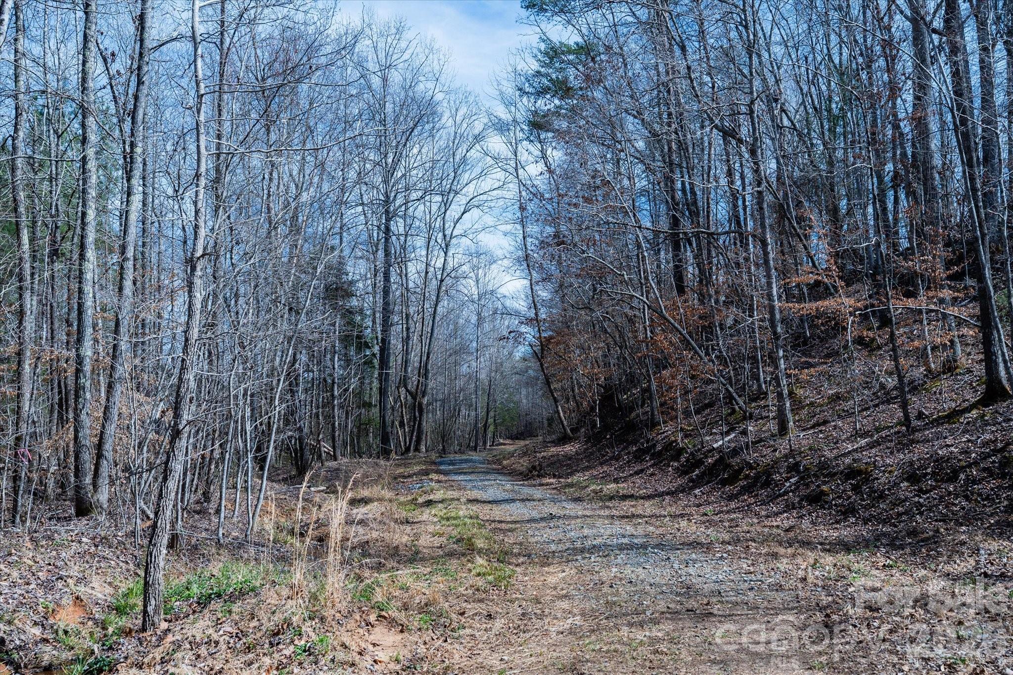 99999 Abrams Moore Road Mill Spring, NC 28756 - Photo 20 of 21 a view of a backyard