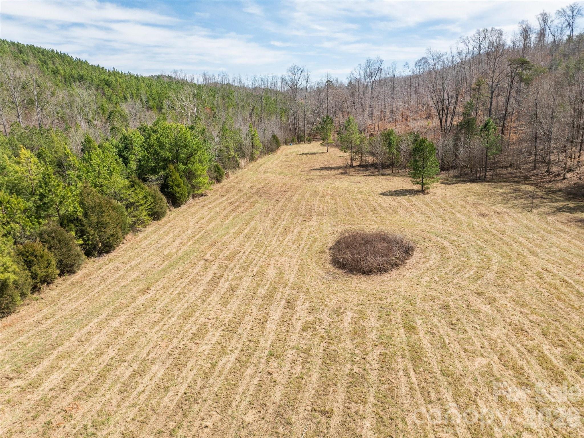 99999 Abrams Moore Road Mill Spring, NC 28756 - Photo 2 of 21 a view of a backyard of the house