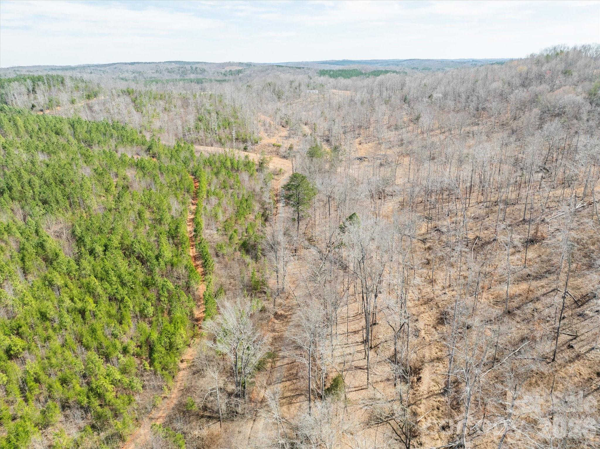 99999 Abrams Moore Road Mill Spring, NC 28756 - Photo 21 of 21 a view of a dry yard