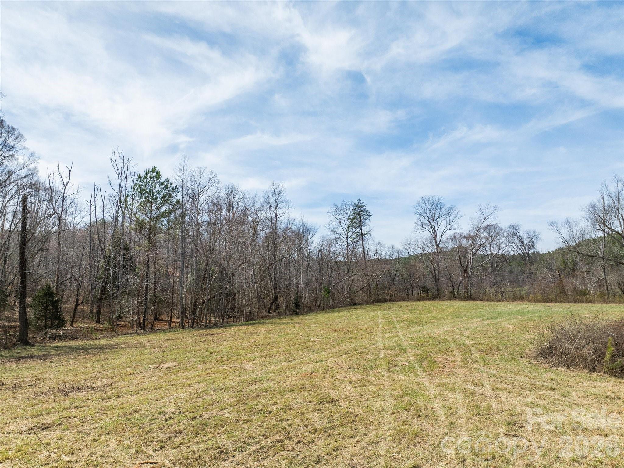 99999 Abrams Moore Road Mill Spring, NC 28756 - Photo 5 of 21 a view of a yard with palm trees