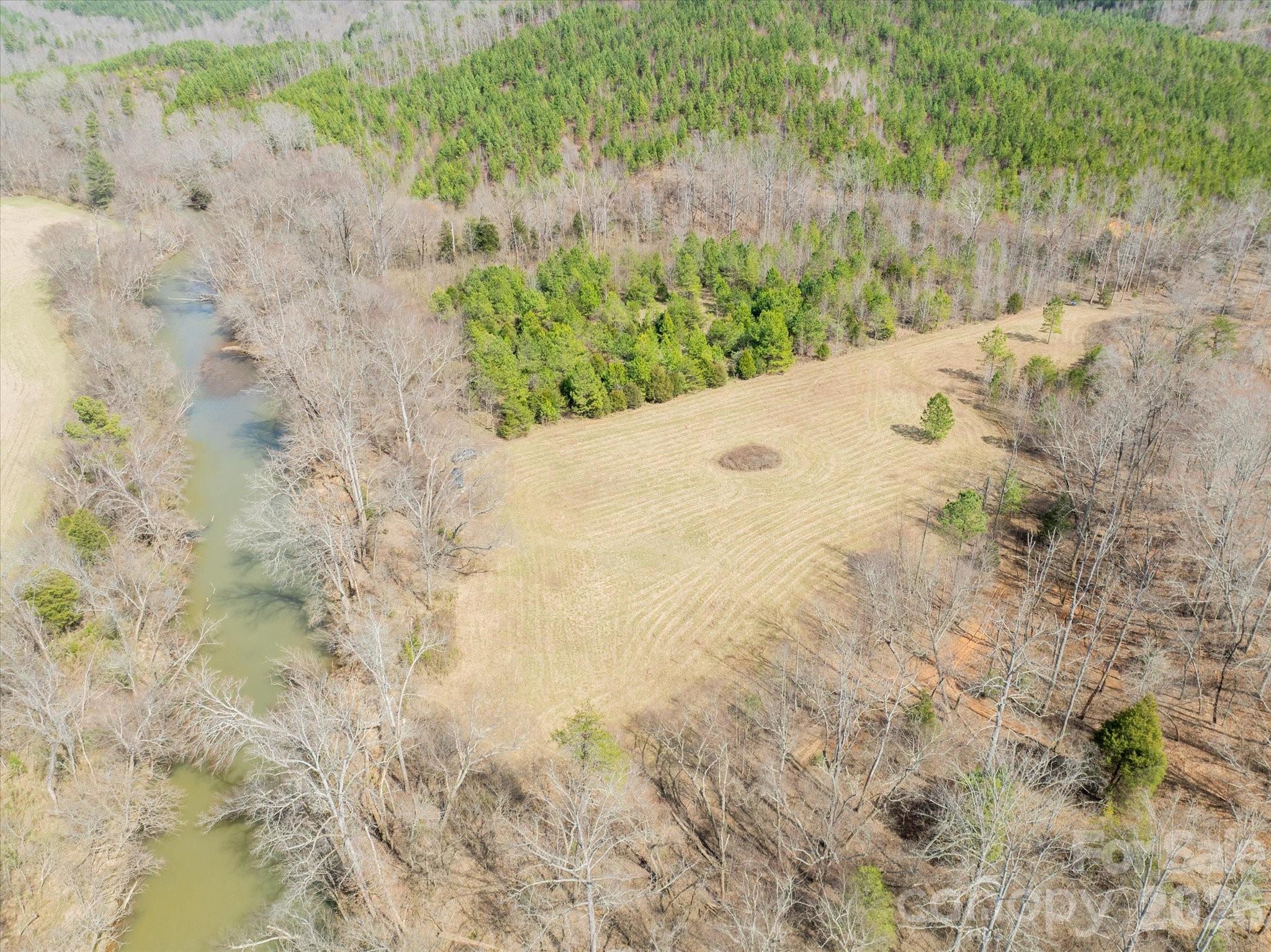 99999 Abrams Moore Road Mill Spring, NC 28756 - Photo 6 of 21 a view of a dry yard with trees