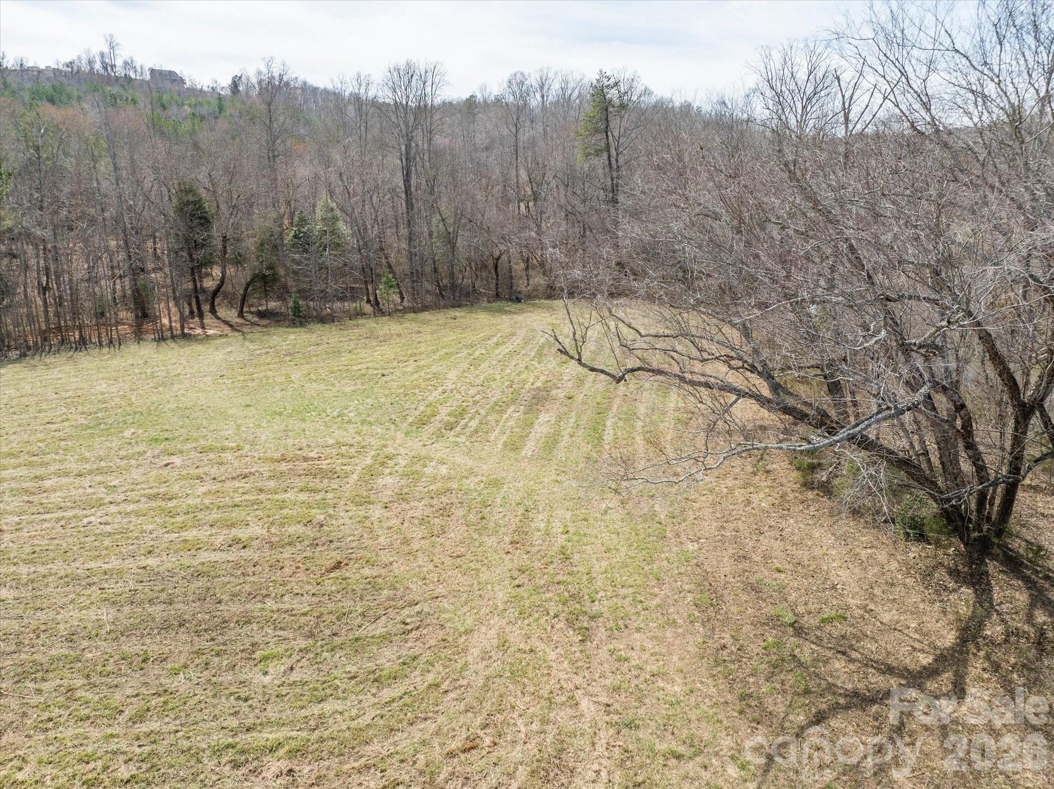 99999 Abrams Moore Road Mill Spring, NC 28756 - Photo 10 of 21 a view of a yard with trees in the background