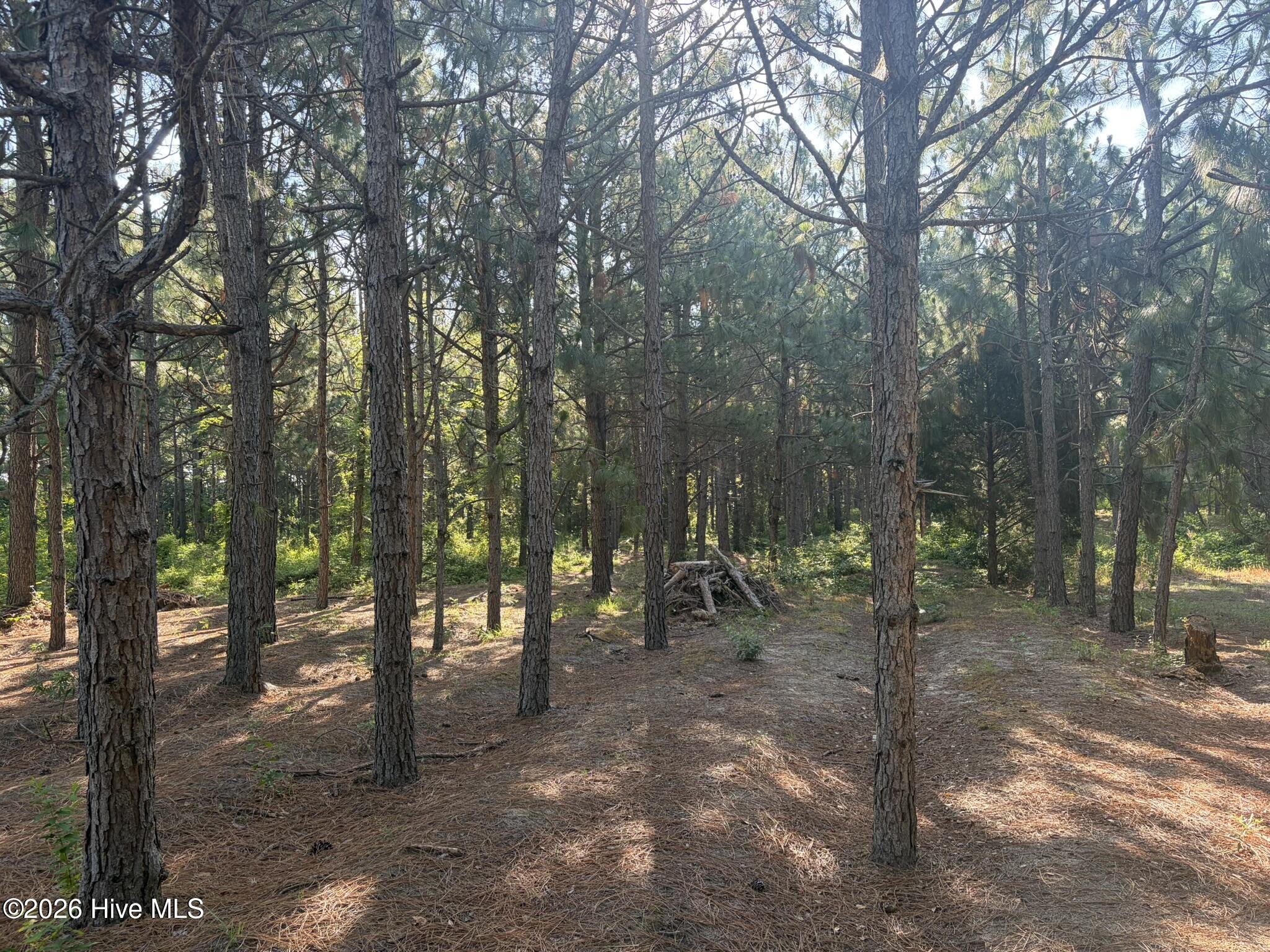 Tbd Jones Spring Church Road Ellerbe, NC 28338 - Photo 6 of 29
