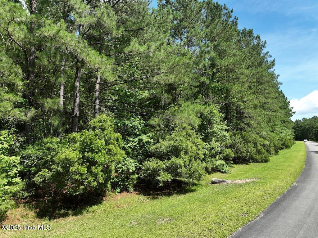 175 North Berne Landing Road New Bern, NC 28560 - Photo 10 of 12 9