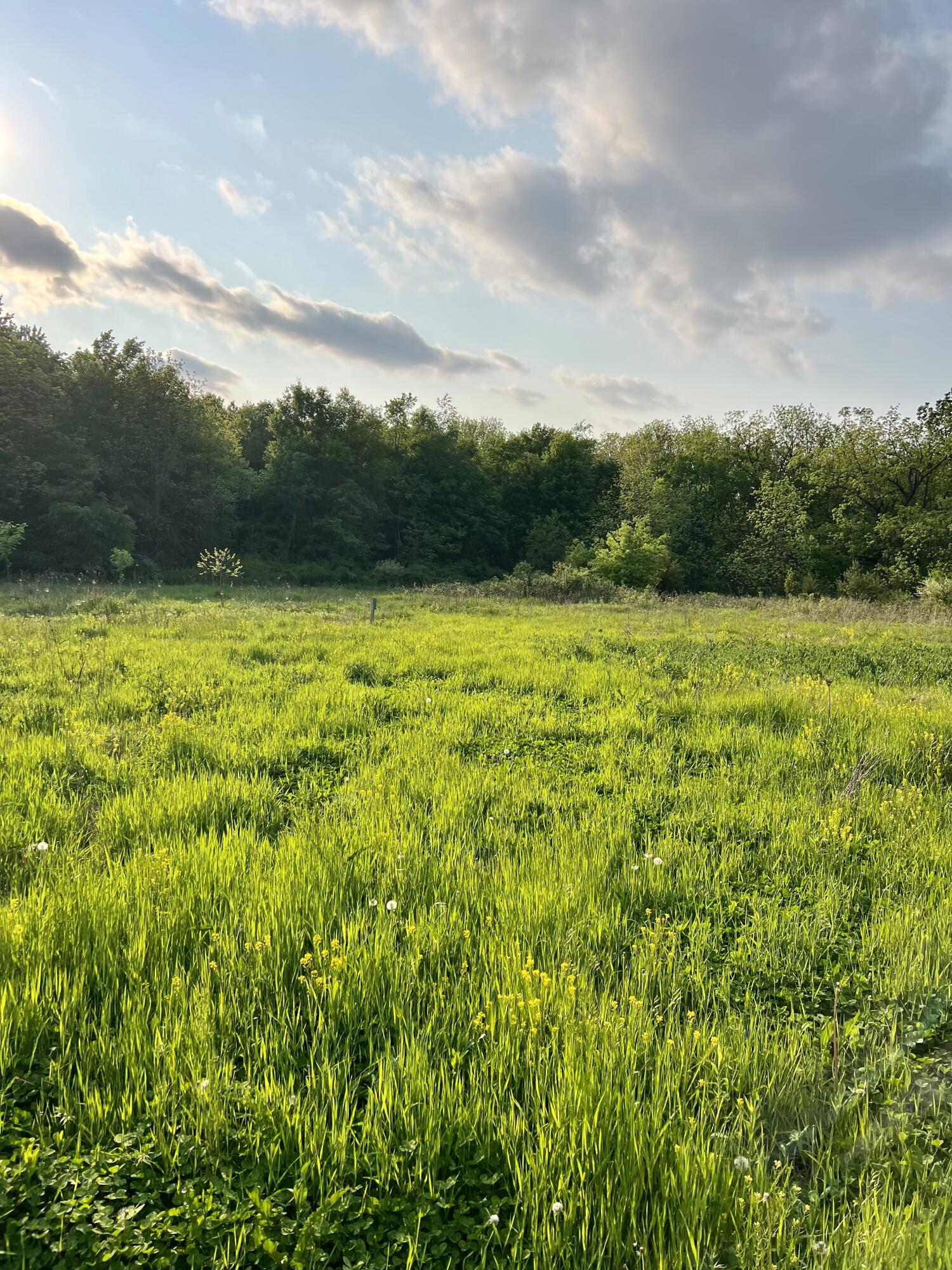 190 South Briggs Road Quincy, MI 49082 - Photo 45 of 45 33CDC4DA-CC0D-4FA8-95B3-AE757E50EAF2