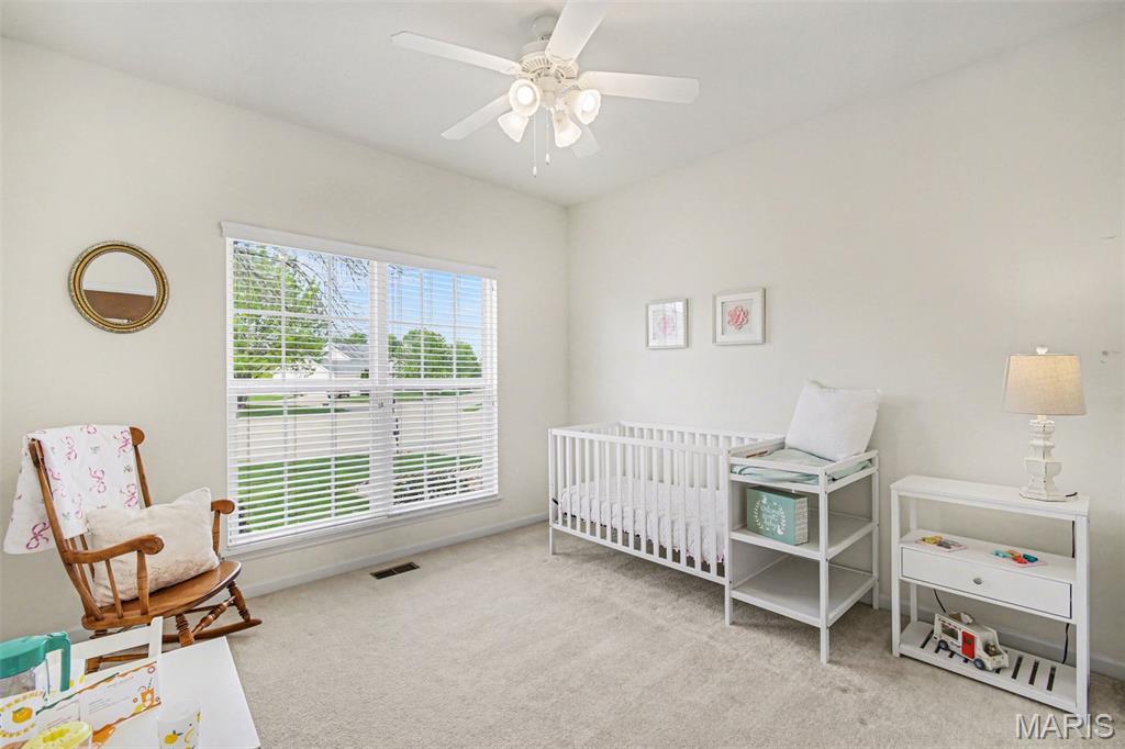 2279 Haverford Drive Shiloh, IL 62221 - Photo 20 of 41