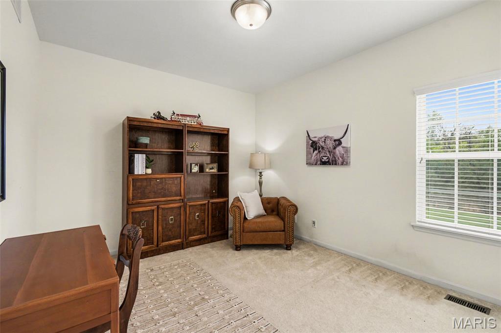 2279 Haverford Drive Shiloh, IL 62221 - Photo 22 of 41